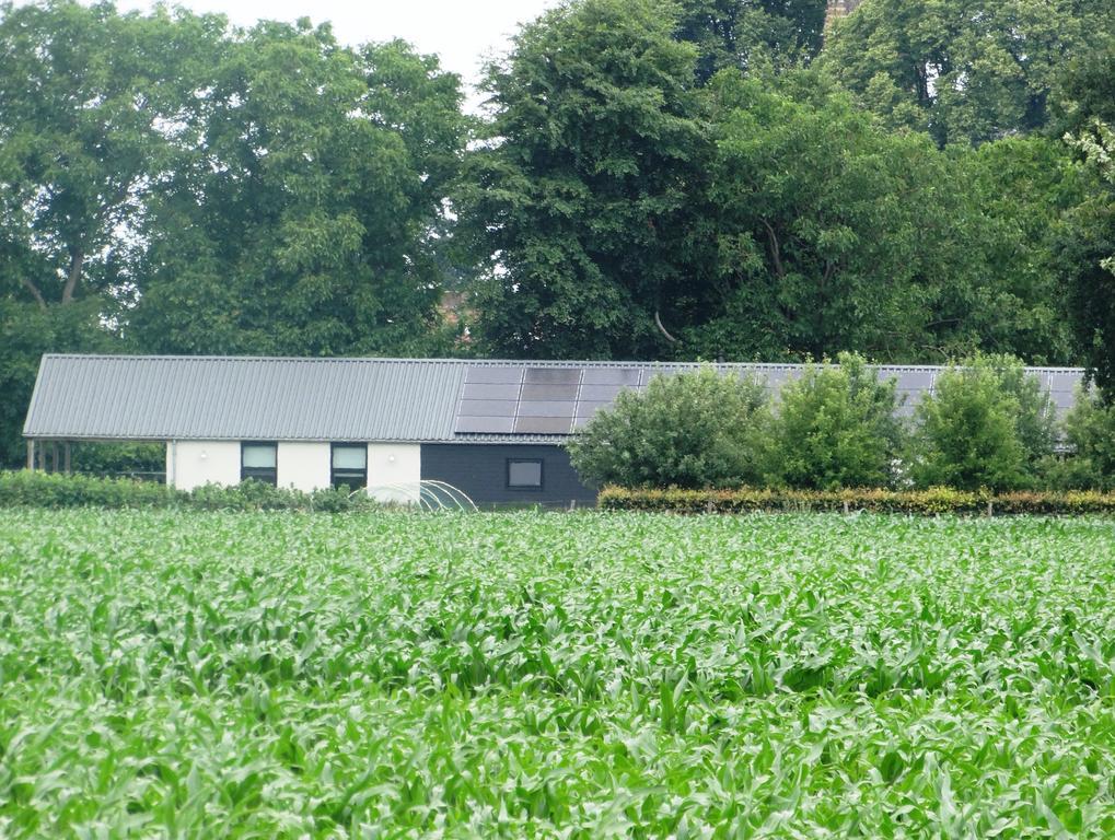 Liefkeshoek Villa Cuijk Exterior photo